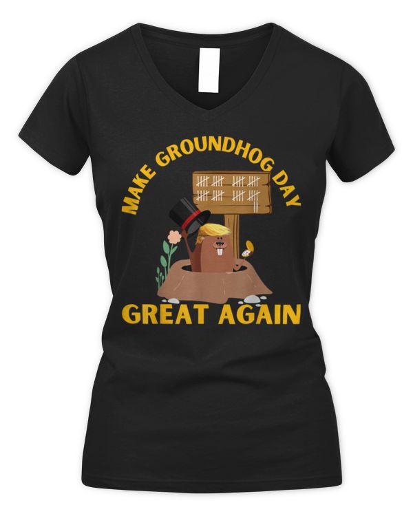 Women's V-Neck T-Shirt